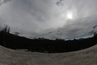 DSC_4453 (Large).JPG